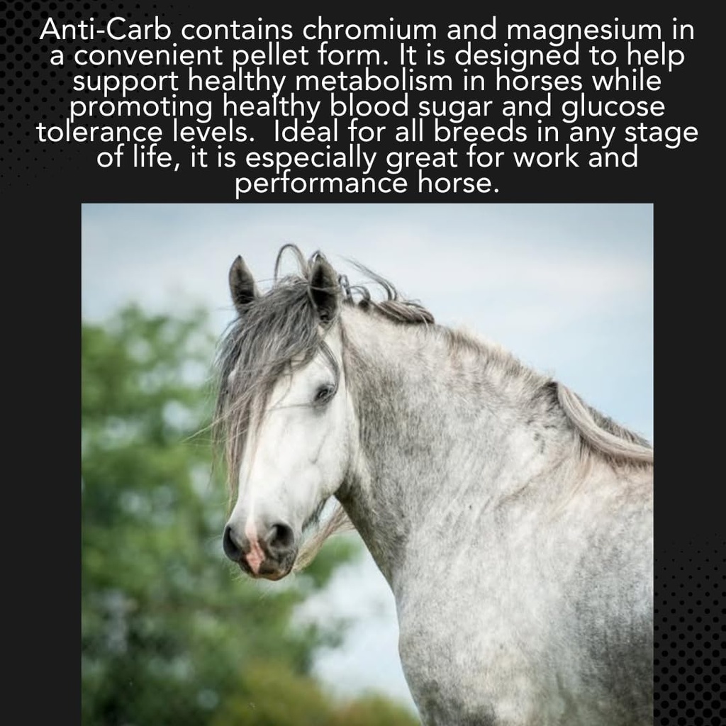 mvp-anti-carb-20lb-glucose-metabolism-su-2.jpg