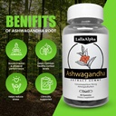 ashwagandha-gummies---natural-stress-rel-2.jpg
