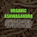 ashwagandha-gummies---natural-stress-rel-4.jpg