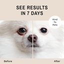 eye-envy-tear-stain-remover-powder-for-d-4.jpg
