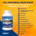 lifesource-vitamins-all-natural-pain-eas-3.jpg