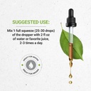 turmeric-alcohol-free-liquid-extract-usd-3.jpg
