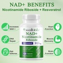 120-count-nad-plus-supplement-liposomal--5.jpg
