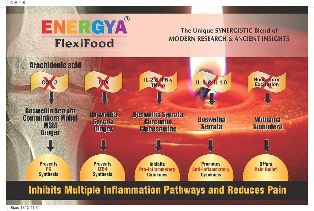 flexifood-33-in-1-powder-of-premium-coll-2.jpg