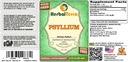 psyllium-plantago-ovata-glycerite-organi-2.jpg