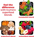 superfood-reds-powder-packs---for-immune-3.jpg