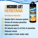microbe-lift-herbtana-immune-booster-and-4.jpg