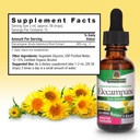 natures-answer-elecampane-root-with-orga-4.jpg