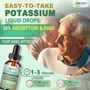 potassium-magnesium-liquid-drops---organ-4.jpg