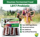 gut-support-live-probiotics-for-women-an-6.jpg