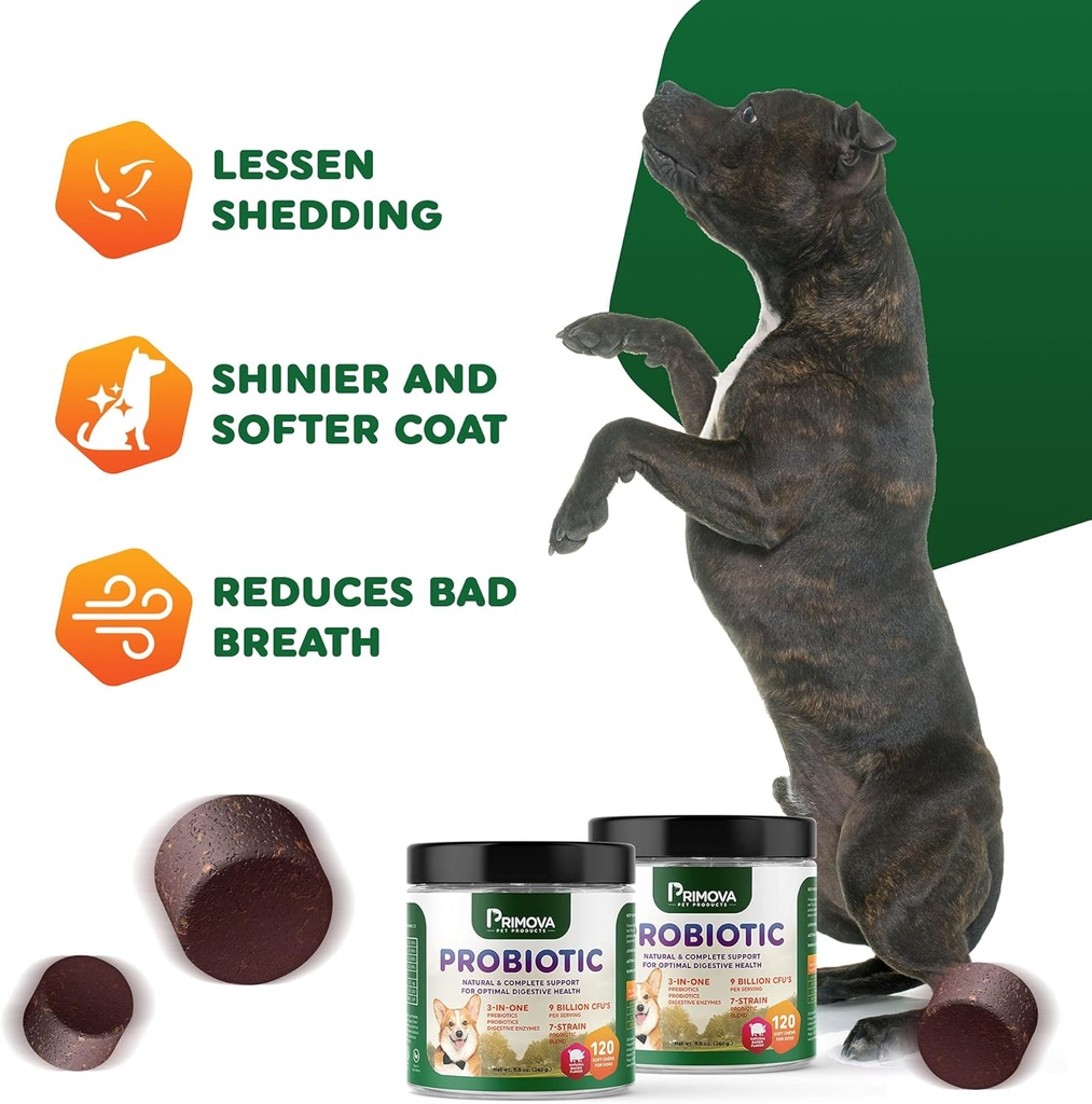 probiotic-dog-chews-for-dog-digestive-en-6.jpg