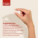 andrew-lessman-vitamin-d3-4000-iu-180-ca-6.jpg