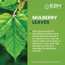 e2h-liquid-chlorophyll-and-lions-mane-mu-4.jpg