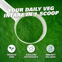 ehp-labs-oxygreens-super-greens-powder-d-3.jpg