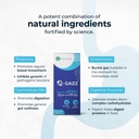 q-gazz-helps-in-gas-bloating-and-indiges-4.jpg