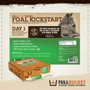 fullbucket-equine-foal-kickstart-paste-i-4.jpg