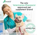 balanced-breed-dog-probiotics-digestive--3.jpg
