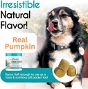 balanced-breed-dog-probiotics-digestive--5.jpg