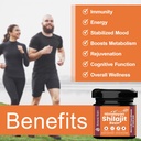 pure-himalayan-shilajit-resin-for-men-wo-3.jpg