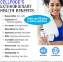 cellfood-oxygen-boost-1-fl-oz---liquid-o-5.jpg