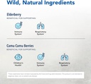 north-american-herb-spice-elder-c---60-c-3.jpg