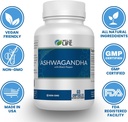well-of-life-ashwagandha-650mg-black-ext-5.jpg
