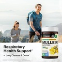 bio-krauter-mullein-60-gummies-chlorophy-2.jpg