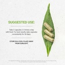 secrets-of-the-tribe-astragalus-120-caps-2.jpg