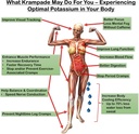 krampade-electrolytes-powder-potassium-s-3.jpg