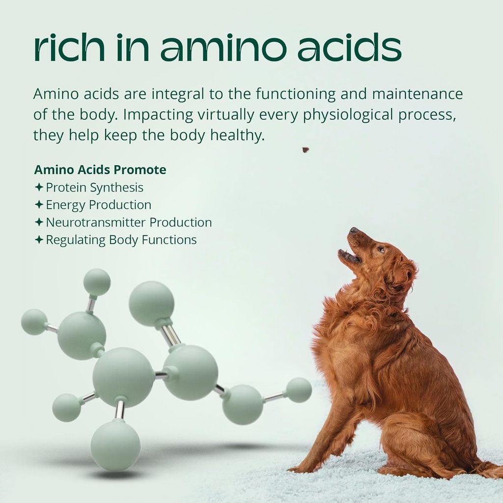 probiotic-chews-for-dogs---digestive-enz-5.jpg