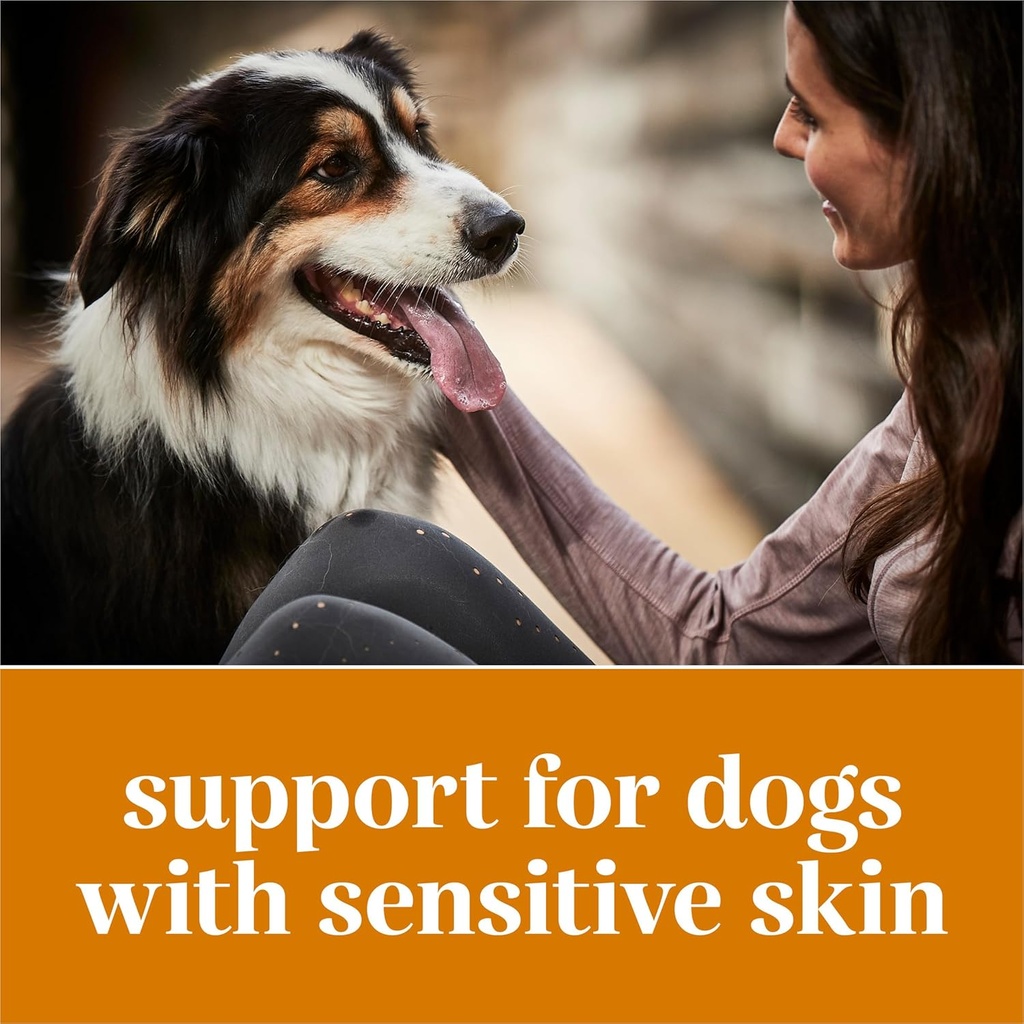 everroot-dog-skin-care-dog-supplements-b-4.jpg