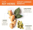 himalaya-koflet-lozenges-original-mentho-5.jpg