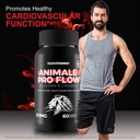 animale-pro-flow---our-best-blood-flow-s-6.jpg