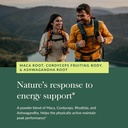 gaia-herbs-everyday-adaptogen-powder---h-5.jpg