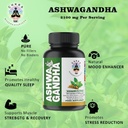 xtrakt-ashwagandha-supplements-equivalen-5.jpg