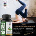 xtrakt-ashwagandha-supplements-equivalen-6.jpg