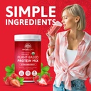 strawberry---plant-based-protein-powder--2.jpg