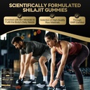 himalayan-shilajit-gummies-gold-grade-sh-3.jpg