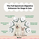 ohpet-5-in-1-digestive-probiotics-7b-cfu-3.jpg