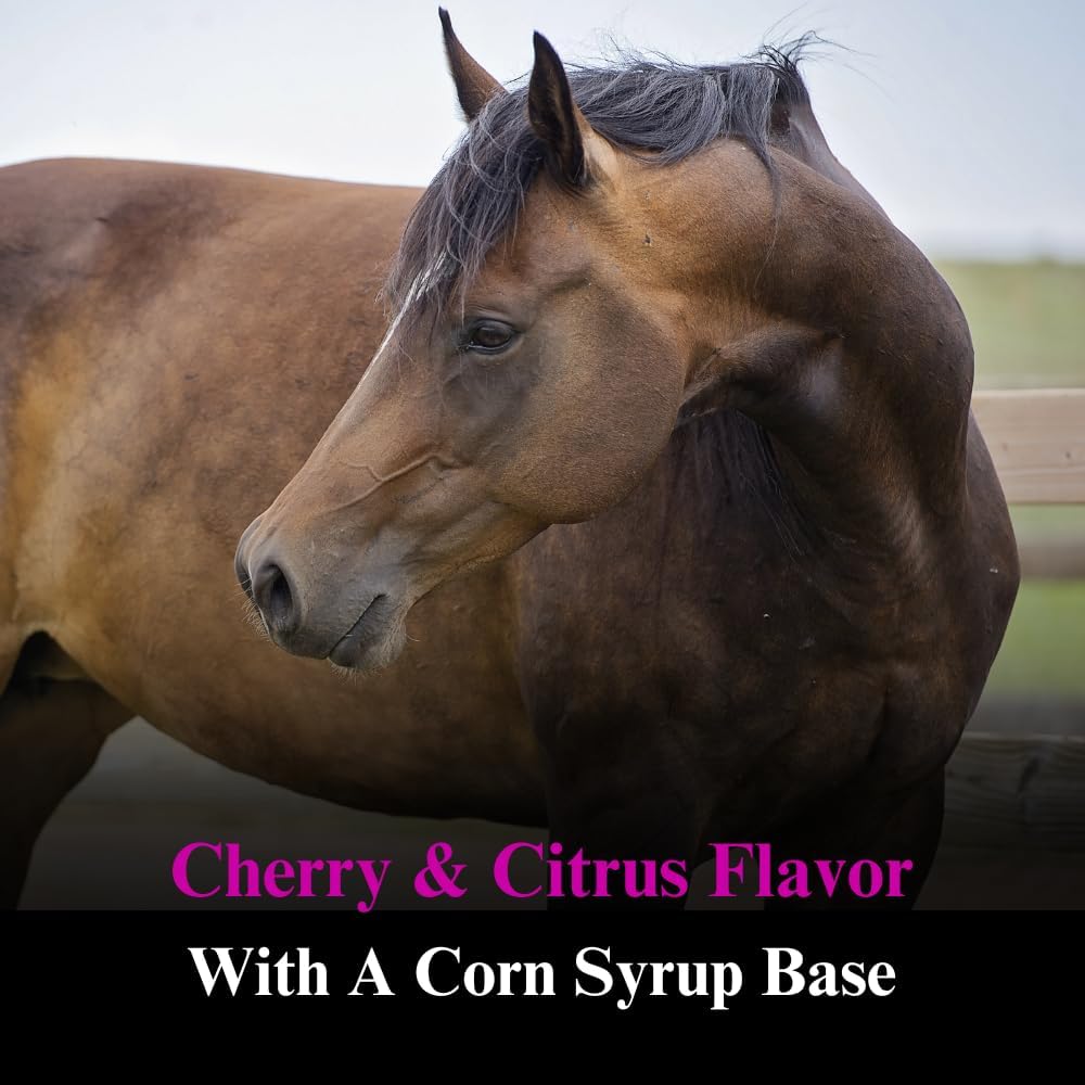 su-per-e-se-horses-antioxidant-supplemen-4.jpg