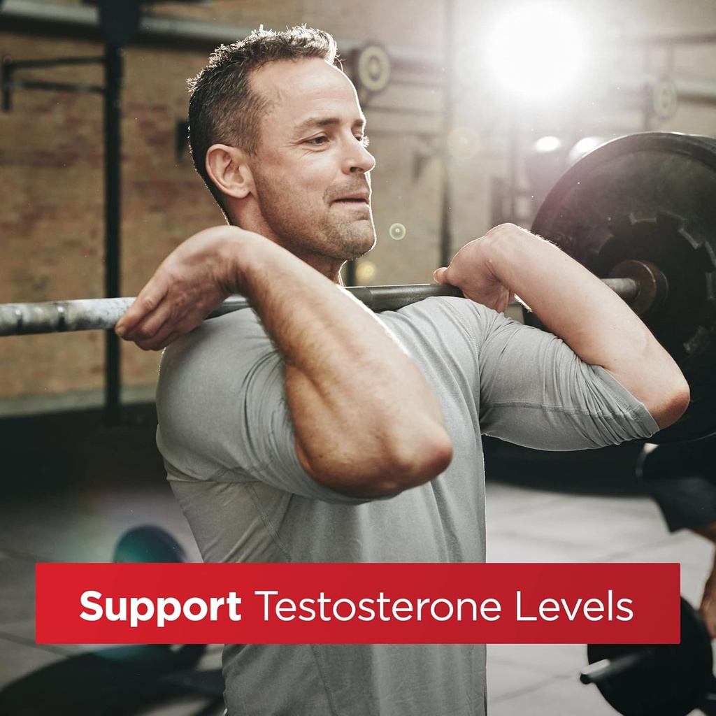 rex-md-testosterone-support-supplement-f-2.jpg