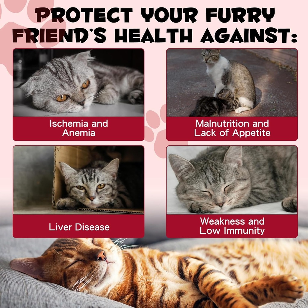 iron-supplements-for-cats-60ml-liquid-ir-2.jpg