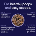 finn-digestive-probiotics-for-dogs---com-3.jpg