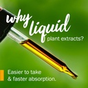 herb-pharm-lomatium-liquid-extract-for-i-4.jpg