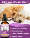 cat-dog-urinary-tract-infection-treatmen-3.jpg