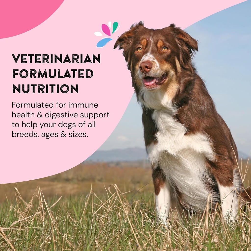 skin-coat-supplements-for-dogs-probiotic-6.jpg
