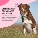skin-coat-supplements-for-dogs-probiotic-6.jpg