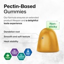 bio-krauter-dandelion-root-60-gummies-va-4.jpg