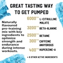 iron-kingdom-pre-workout-powder-for-men--2.jpg