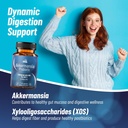 activate-probiotic-supplement-4.jpg